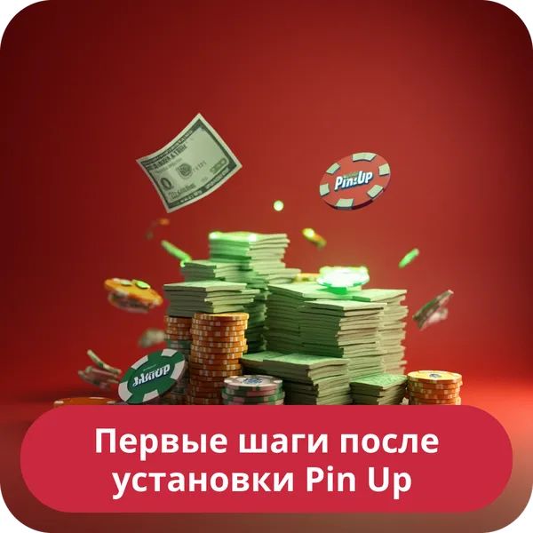 Первые шаги после установки Pin Up